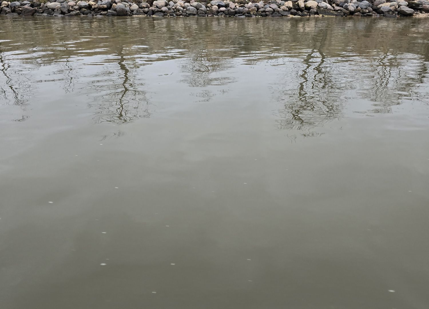 Nutrient-laden water against a hardened shoreline